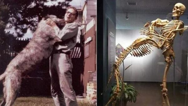 Deretan Foto Jadul yang Bikin Terperangah Saat Tahu Faktanya