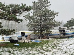 Satu Pesawat Isi Anjing Kecelakaan, Beruntung Semuanya Selamat