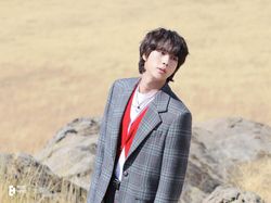Imbauan BIGHIT untuk ARMY yang Kangen Jin BTS