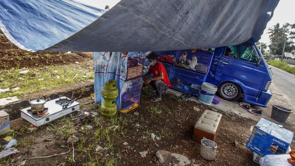 Minim Tenda Darurat, Korban Gempa Cianjur Ngungsi di Angkot