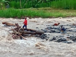 Cari Kayu Hanyut, 2 Warga Jember Terjebak Luapan Sungai Unda