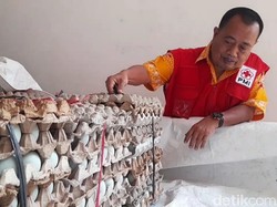 PMI Brebes Kirim 3 Ribu Telur Asin untuk Korban Gempa Cianjur