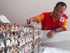 PMI Brebes Kirim 3 Ribu Telur Asin untuk Korban Gempa Cianjur PMI Brebes Kirim 3 Ribu Telur Asin untuk Korban Gempa Cianjur