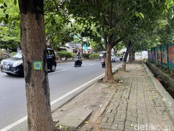 Pohon di Jalan Margonda Raya Depok Dipasang Barcode, Apa Fungsinya?