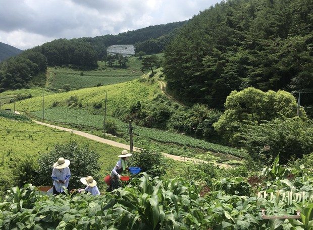 Salah satu scene dalam Three Meals A Day Mountain Village/Foto: thekrazemag.com Salah satu scene dalam Three Meals A Day Mountain Village