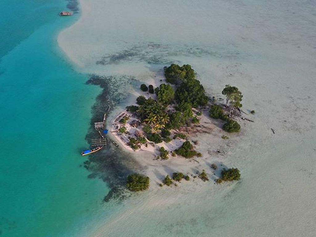 Kepulauan Widi Masih Dilelang di Sothebys tapi Ditunda Tahun Depan Kepulauan Widi Masih Dilelang di Sothebys tapi Ditunda Tahun Depan