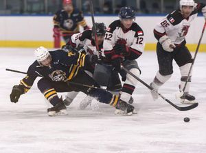 Tim Hoki Batavia Demons Dulang Prestasi di Kancah Internasional