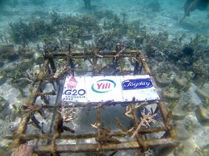 Produsen Es Krim Joyday Dukung Konservasi Terumbu Karang di Pulau Komodo Produsen Es Krim Joyday Dukung Konservasi Terumbu Karang di Pulau Komodo