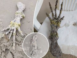 Misteri Tulang Tangan Aneh di Pantai Brasil, Disebut Alien