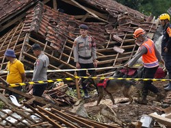 Kisah Para Anjing Pelacak Bantu Temukan Korban Gempa Cianjur