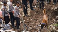 Anjing Pelacak Dikerahkan untuk Cari Korban Gempa Cianjur