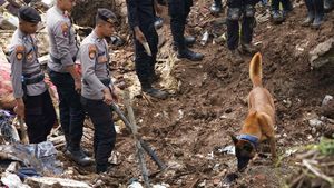 Anjing Pelacak Dikerahkan untuk Cari Korban Gempa Cianjur