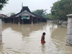Banjir Rendam 230 Rumah-Sawah Desa di Bojonegoro, Ketinggian Air 50 Cm