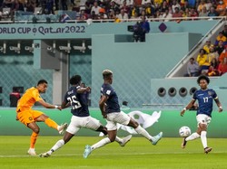 Belanda Vs Ekuador: Gakpo Bawa Oranje Unggul 1-0 di Babak I