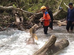 Wisata Rafting Karangasem Terganggu Pohon Tumbang, Turis Cancel Bookingan