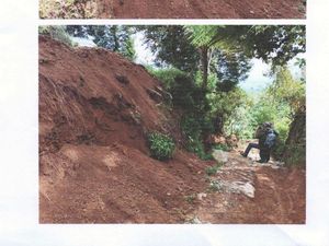 Begini Kondisi Jalur Pendakian Gunung Gede Pangrango, Ada Longsoran