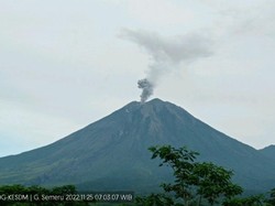 Semeru Erupsi Lagi, Waspada Guguran Awan Panas-Guguran Lahar