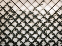 7 Tips Merawat Teralis Besi Agar Tetap Awet