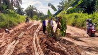 Jalan Rusak Berat, Warga Protes dengan Menanami Pohon Pisang