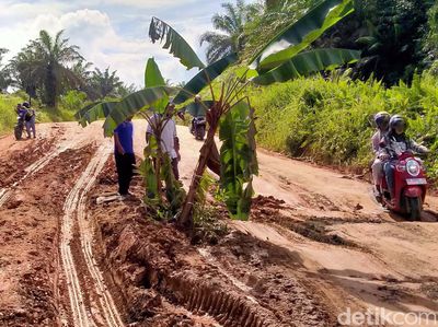 Jalan Rusak Berat, Warga Protes dengan Menanami Pohon Pisang