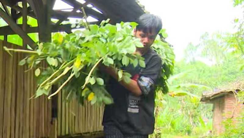 Yuk Bantu Diva Berjuang Bertahan Hidup dengan Ibunya yang Stroke!