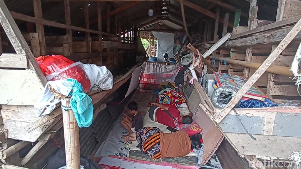 Potret Pilu Korban Gempa Cianjur Ngungsi di Kandang Kambing