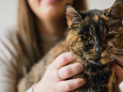 Kucing Berumur 26 Tahun Pecahkan Rekor Dunia