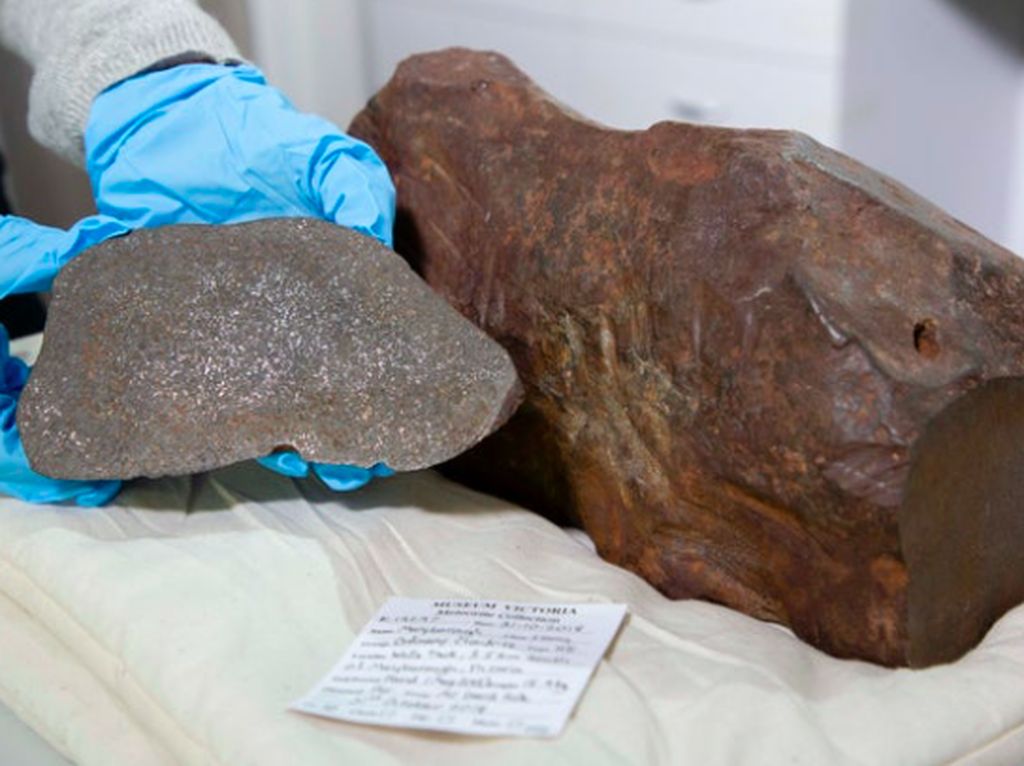 Pria Temukan Batu Berharap Emas, Ternyata Meteorit Langka