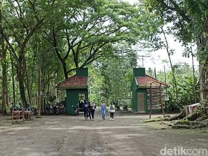 Adem-Ayemnya Berwisata di Penangkaran Rusa Maliran Blitar, Dolan Mrunu Yuk!