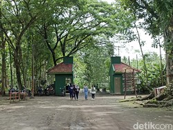 Adem-Ayemnya Berwisata di Penangkaran Rusa Maliran Blitar, Dolan Mrunu Yuk!