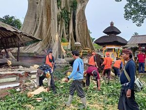 Pangempon Gelar Ritual Nuntun Usai Dahan Kayu Putih Timpa Pura Babakan Pangempon Gelar Ritual Nuntun Usai Dahan Kayu Putih Timpa Pura Babakan