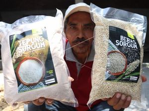 Say Good Bye to Gandum! Ini Sorgum yang Bisa Jadi Alternatif Lho