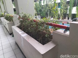 Murungnya Siswi SMP Berujung Loncat dari Lantai 2 Sekolah