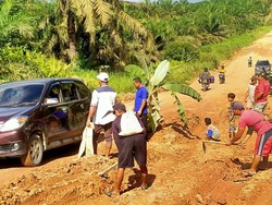 Lapor Ketua! Warga Tanam Pohon Pisang di Jalan Rusak Pelalawan