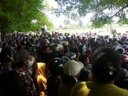 Antrean Horor Ribuan Warga Kupang Demi Minyak Tanah