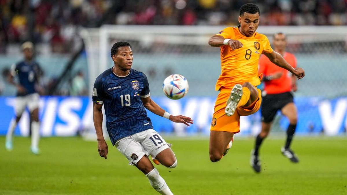 Duel Belanda vs Ekuador di lanjutan Grup A Piala Dunia 2022 berakhir 1-1 (Foto: AP/Natacha Pisarenko)