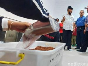 Permintaan Beras Organik Banyuwangi Capai Sedikitnya 250 Ton Per Bulan Permintaan Beras Organik Banyuwangi Capai Sedikitnya 250 Ton Per Bulan