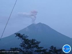 Gunung Semeru Erupsi, Ini 5 Hal yang Diketahui