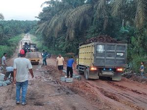 Jalan Rusak yang Ditanami Pisang di Pelalawan Sudah Diperbaiki
