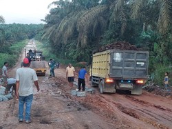 Jalan Rusak yang Ditanami Pisang di Pelalawan Sudah Diperbaiki