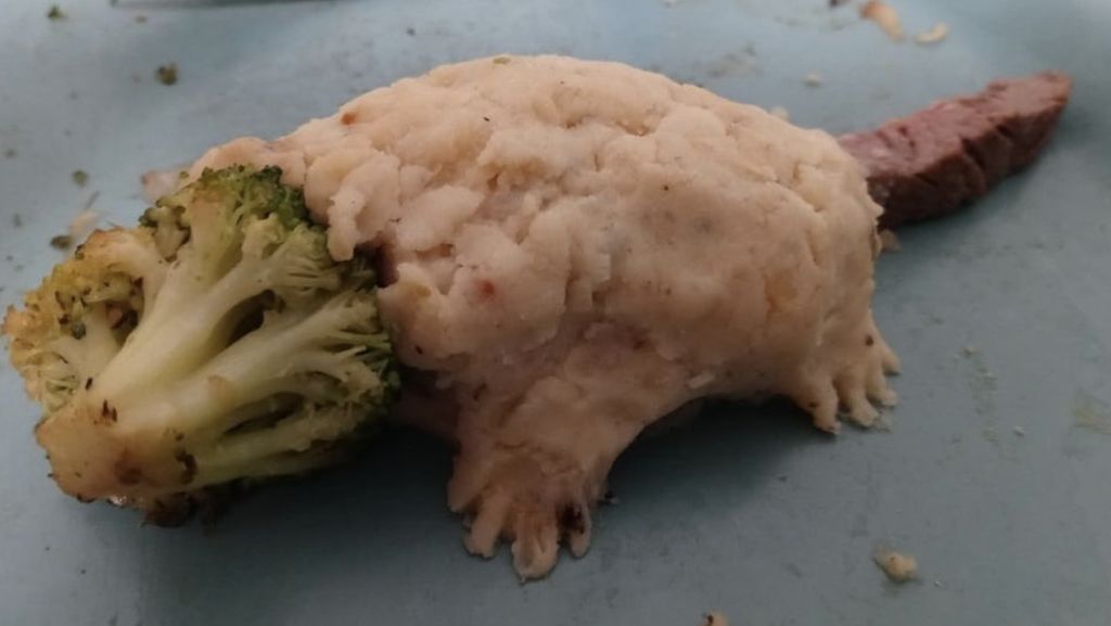 Kocak! Akun Instagram Ini Khusus Abadikan Makanan Gagal Netizen Kocak! Akun Instagram Ini Khusus Abadikan Makanan Gagal Netizen