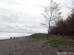 Pantai Cemara Pangkalan, Hidden Gem di Pesisir Selatan Tasikmalaya
