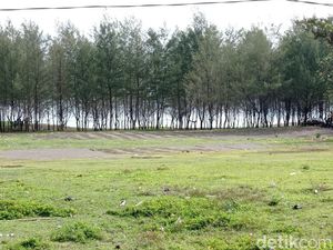 Sambutan Positif Wacana Pembentukan Tasikmalaya Utara