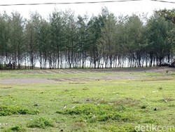 Sambutan Positif Wacana Pembentukan Tasikmalaya Utara
