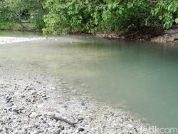 Mengenal Wisata Pantai Pasir Putih Rengganis Pangandaran