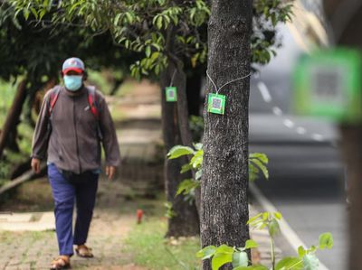 Pemkot Depok Habiskan Rp49 Juta Demi Pasang Barcode di 1.500 Pohon