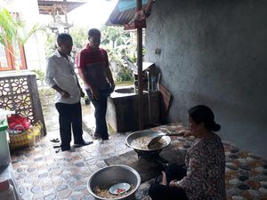 Panen 150 Ton, Mete Nusa Penida Masih Berkutat di Pasar Lokal