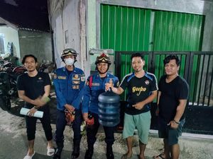 Warga Jaksel Kaget Kobra Tiba-tiba Ada di Tangga, Damkar Turun Tangan