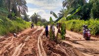Potret Jalan Rusak di Pelalawan yang Ditanami Pohon Pisang