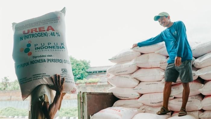Ilustrasi Pupuk Subsidi Ilustrasi Pupuk Subsidi